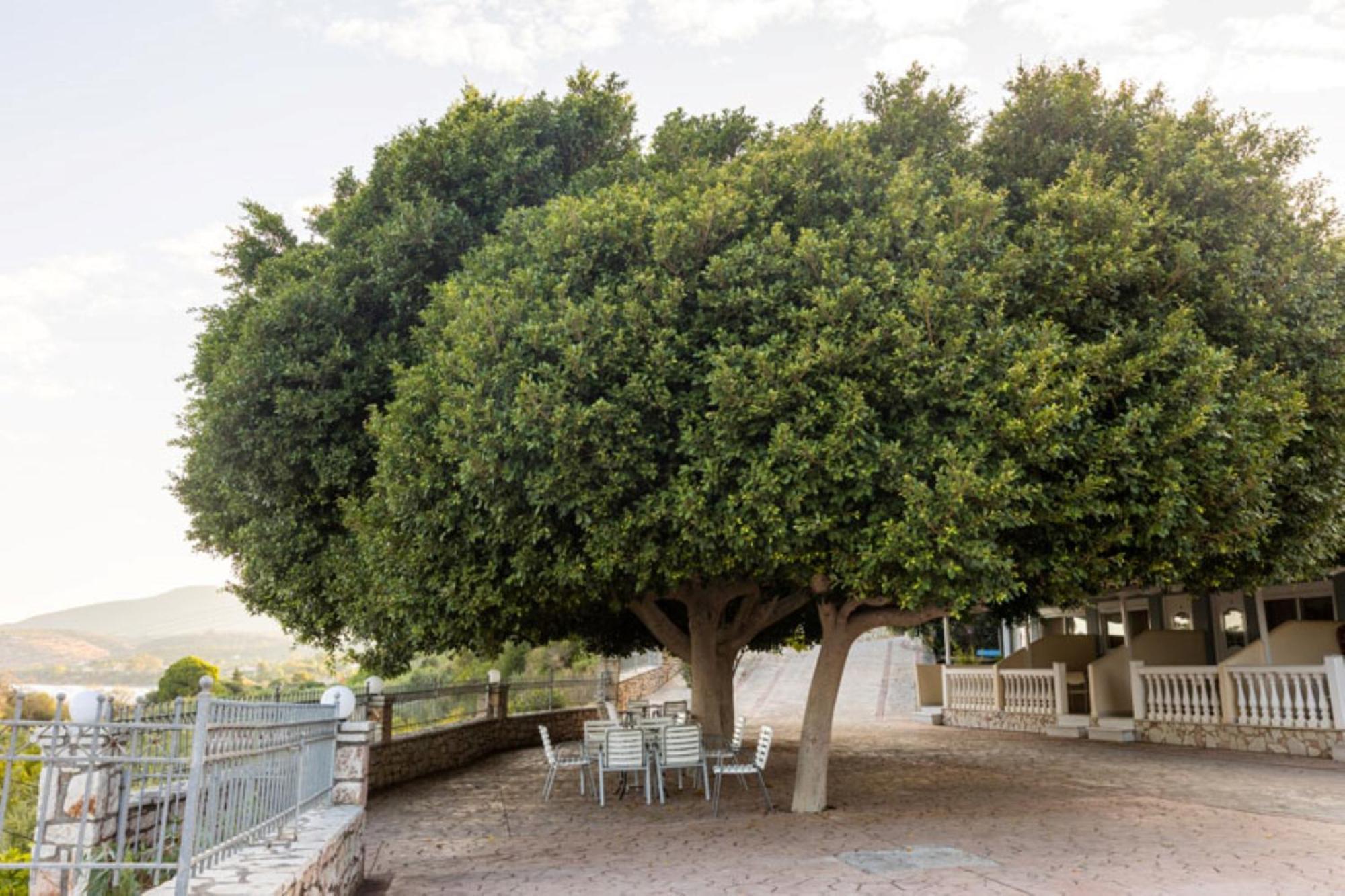 Pansion Koroni L'Antic Hotell Eksteriør bilde